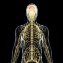 바디소울PT 문정점 이미지