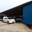 은빛카센타 이미지