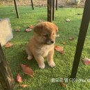 더쉼카페앤펍