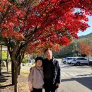 공치는날 | 오공치전망대와 장원식당 앞 단풍