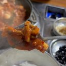 계절식당 - 달성군 | TV에도 나온 신시모도 맛집 계절식당 낙지볶음 내돈내산 솔직후기