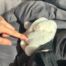 뽀끼팡팡 | 난 너를 보면 T라 미숙해
