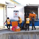 단풍세탁 이미지