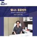 웰니스동물병원(롯데월드점) 이미지