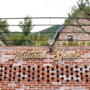 내츄럴스페이스 2 | 가평 양평단체펜션 추천 내츄럴스페이스