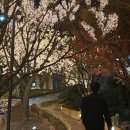 여러분 덕분에 상도 받아보네요 이미지
