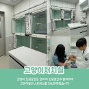뉴엘동물의료센터 이미지
