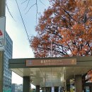 온누리종로약국 이미지