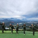 돼지날다
