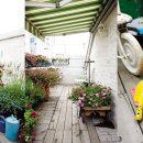 가득한정원 이미지