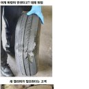 싱글벙글카센터 이미지