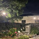 애월류가 이미지