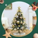 티에스테크 이미지