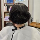 폼#반려견미용실 | 수성구 지산동 미용실 JH헤어 미용기능장이 해주신 단발펌 후기