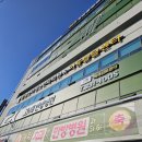 365성심플란트치과의원 이미지