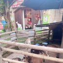 고능농장 이미지