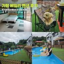 베일리하우스애견펜션 | 가평 애견동반 여행 베일리 애견 풀빌라 펜션 201호 후기