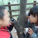 서문유치원 이미지