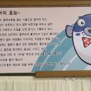 동리회집