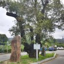 평광농장 이미지