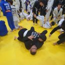 트라이스톤 주짓수 태권도 이미지