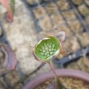 클라우드나인 이미지