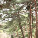 남한산성입구역 2번출구 이미지