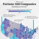 지도: 미국 각 주의 Fortune 500 기업 수 이미지