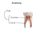 메이 동물병원 이미지