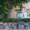 부민초등학교 이미지