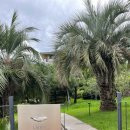 티라한식당 이미지