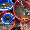 부산항횟집 - 원주시 송림길 50 | 부산항횟집