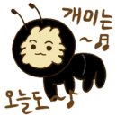 배리하우스