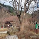 달궁자동차야영장 이미지