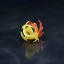 아쿠아팩토리 이미지