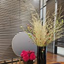 뮬피부과의원 이미지