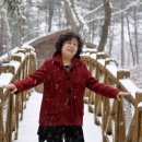 나무숲펜션 이미지