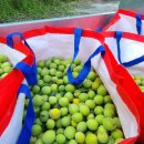 곰재농장 이미지