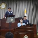 배롱나무 특화거리 이미지