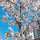 노블치과의원 이미지