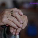 초록요양원 이미지