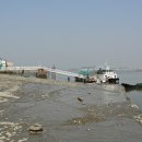 도선장횟집 이미지