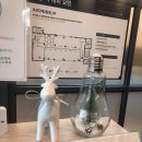 다대2동-12 이미지