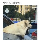 준디테일링 이미지