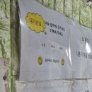 생선구이시골밥상 | 이천 돌솥밥+생선구이 맛집 :: 돌솥밥시골밥상 후기