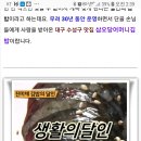 [대구 수성구] 진미채 김밥 이미지