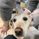 동수송1길 이미지