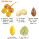 은행