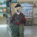 낄낄고양이 | 제주 셀프 웨딩스냅 후기 장소 추천, 준비물(셀프부케, 소품, 드레스 등)