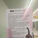 츄냥이 하우스 이미지